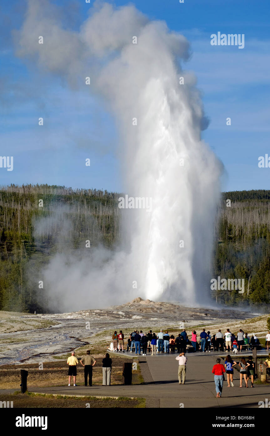 Old Faithful Geyser Yellowstone National Park Banque D'Images