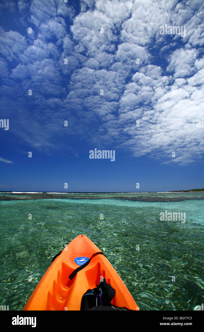 Kayak de mer au large de Utila, Bay Islands, Honduras Banque D'Images