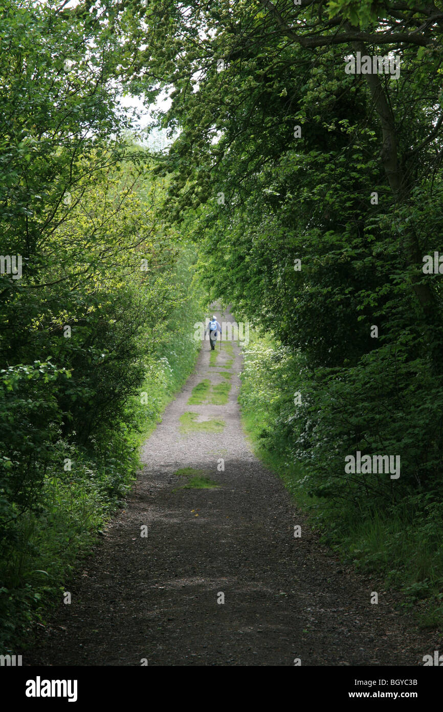 Les Personne Qui Marche Dans La Campagne Photo Stock Alamy