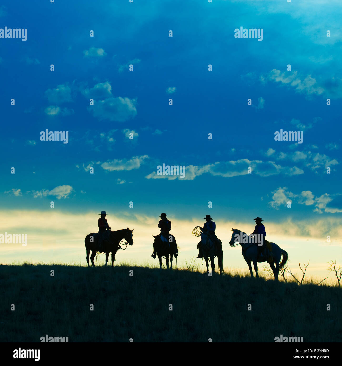 Les cavaliers Banque D'Images