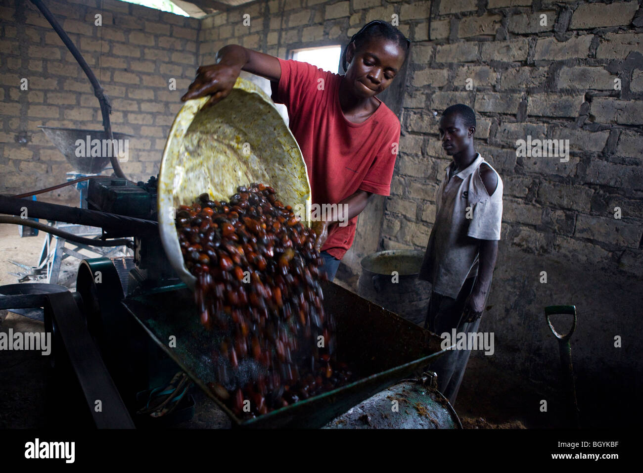 Les agriculteurs de noix noix de palme dans la machine de traitement Banque D'Images