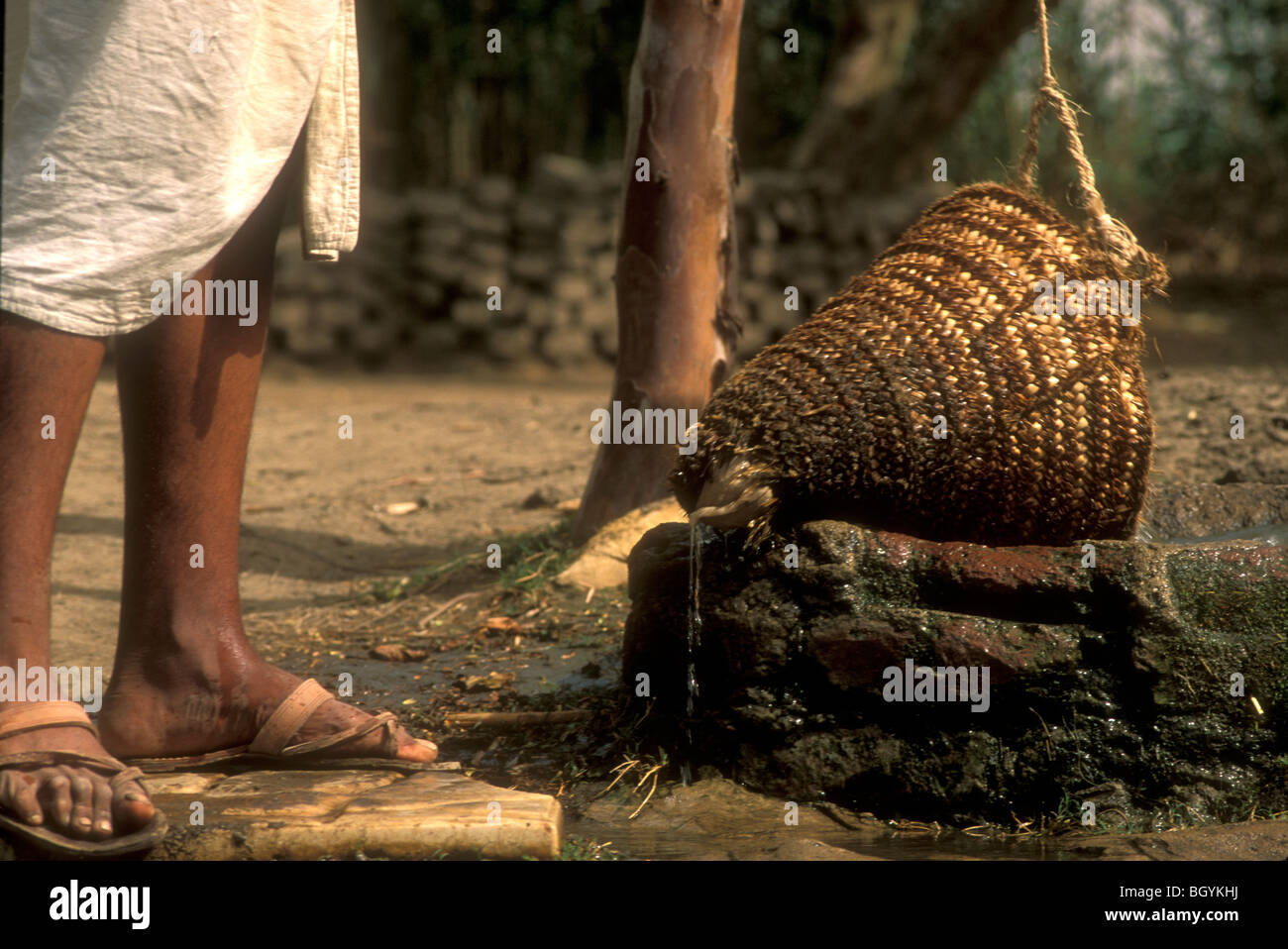 Panier tressé comme utilisé dans l'Egypte ancienne pour le levage de l'eau et irriguer les champs. Il est attaché à une poulie sur la rive. Banque D'Images