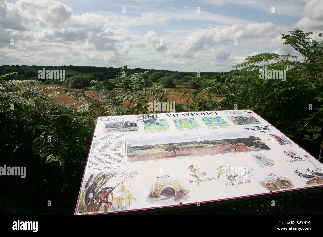 Le point de vue de l'Arboretum, Swettenham, Cheshire, Angleterre Banque D'Images