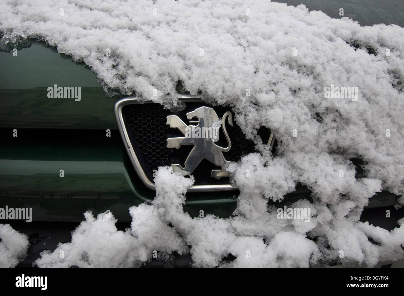 Une voiture Peugeot couvertes de neige montrant la grille et d'un insigne. Banque D'Images