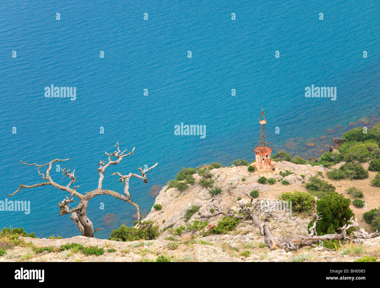 Juniper tree flétri et old rusty gyrophare à flanc de ('Novyj Svit', Crimea, Ukraine). Banque D'Images