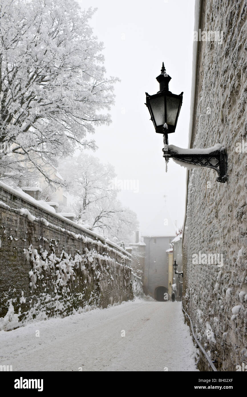 Pikk Jalg (Long boot) street. Tallinn, Estonie Banque D'Images