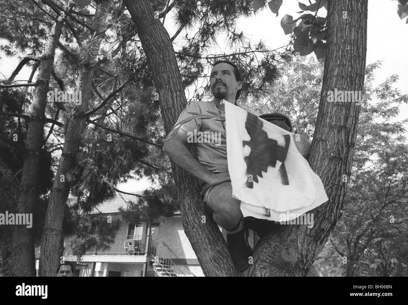 Marcher dans l'arbre avec Latino drapeau UFW en mars Cesar Chavez' funérailles ; Delano, Californie, 1993 farmworkers union du travail Banque D'Images