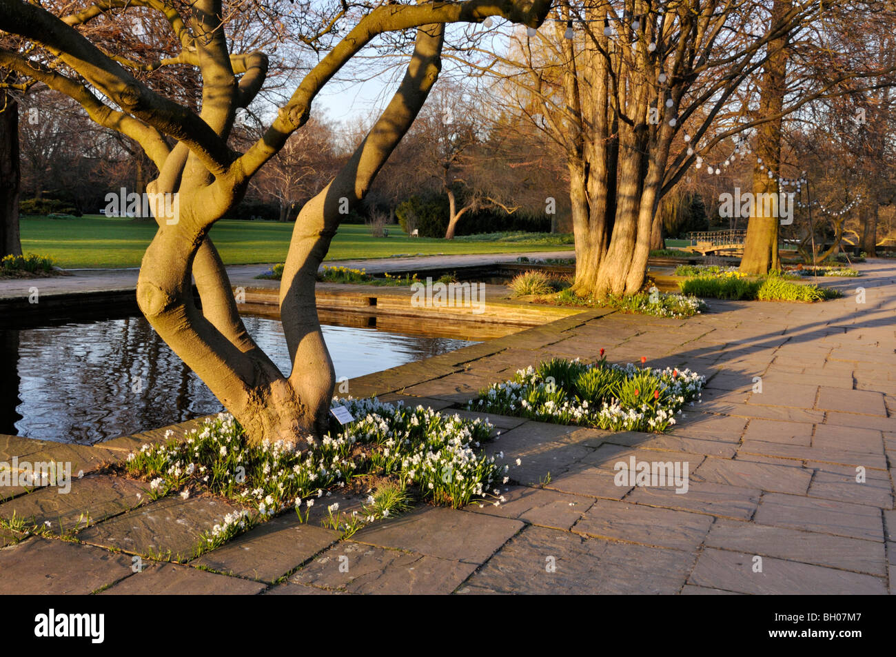 Jardin d'eau, stadtpark, Hanovre, Allemagne Banque D'Images