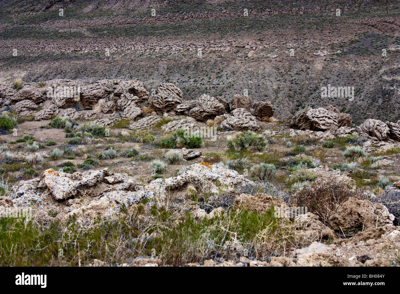 Formations de tuf près de Pyramid Lake dans le Nevada Banque D'Images