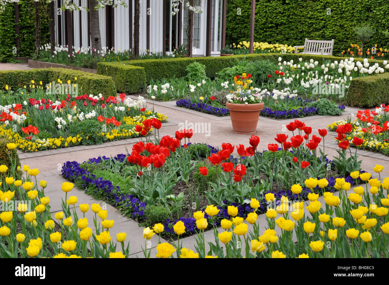 Tulip garden, britzer garten, Berlin, Allemagne Banque D'Images