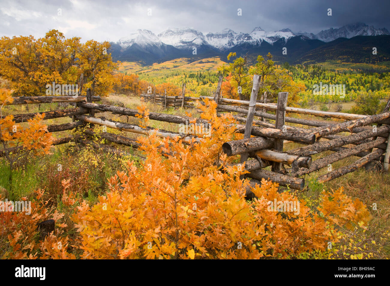 Couleurs d'automne et le Sneffels Range, montagnes de San Juan, au Colorado. Banque D'Images