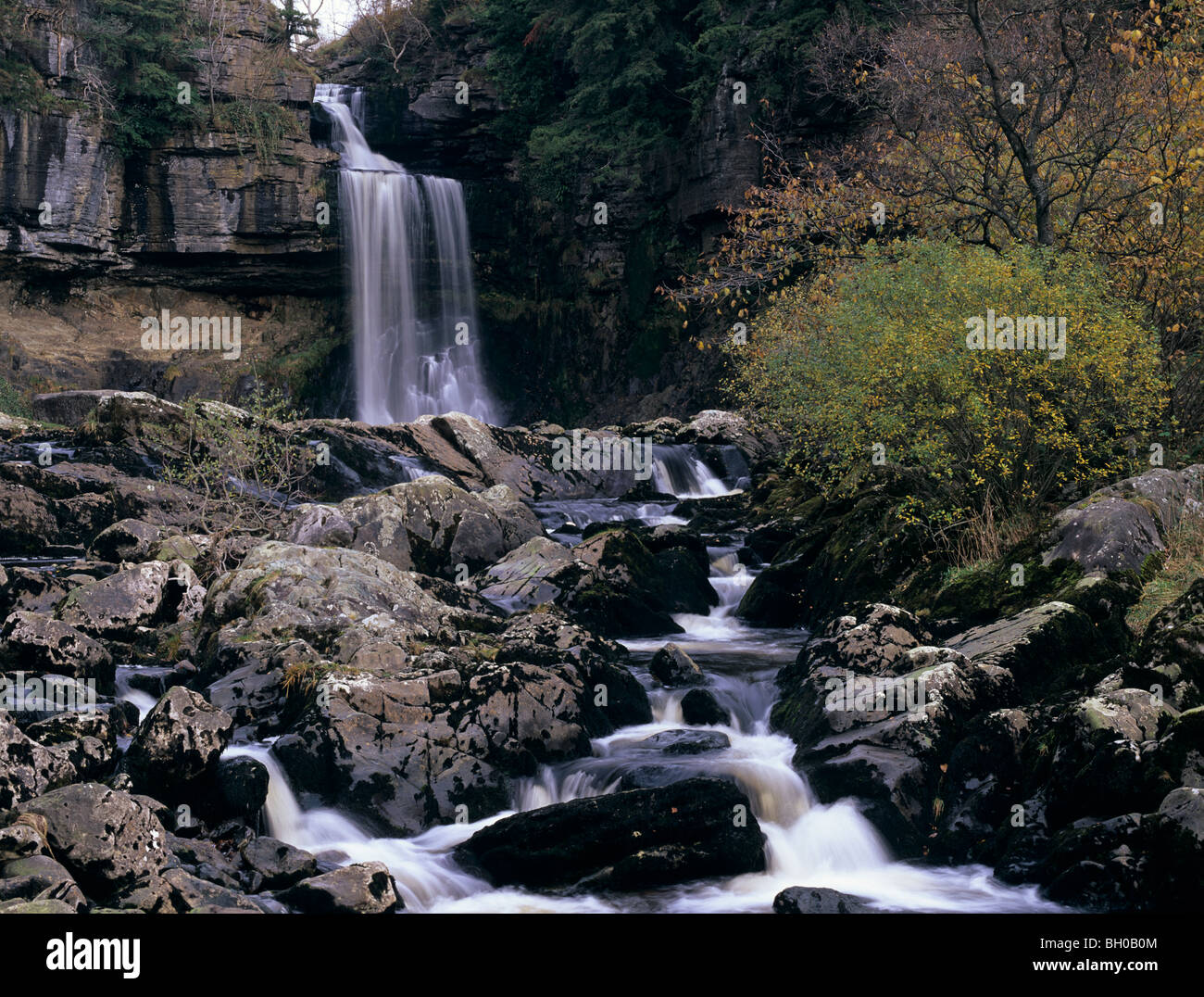 Thornton (cascade) à Ingleton dans Yorkshire du Nord, Angleterre Banque D'Images