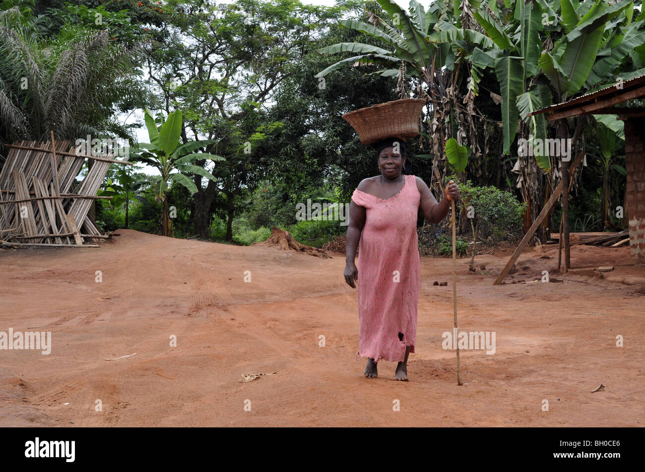 Femme ghanéenne travaillant sur le terrain au Ghana Banque D'Images