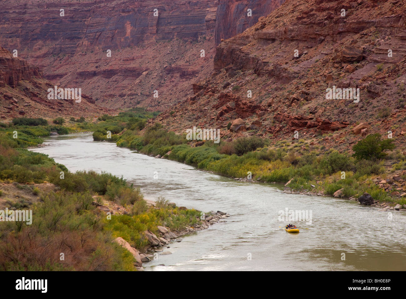 Rafting sur le Colorado River, près de Moab, Utah. Banque D'Images