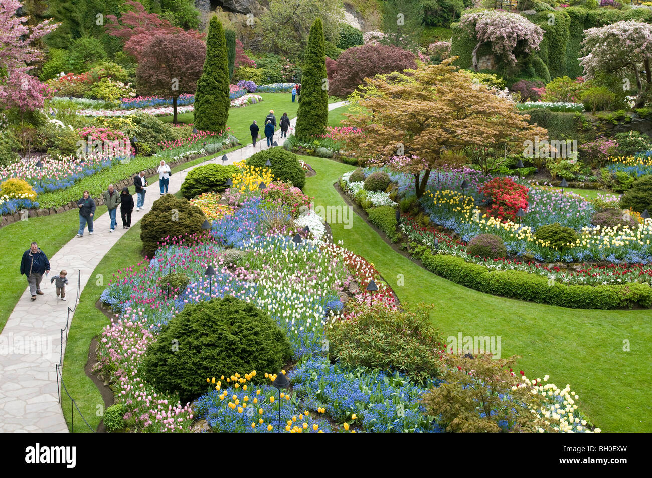 Les visiteurs marchent à travers les jardins Butchart, au début du printemps, l'île de Vancouver, Canada Banque D'Images