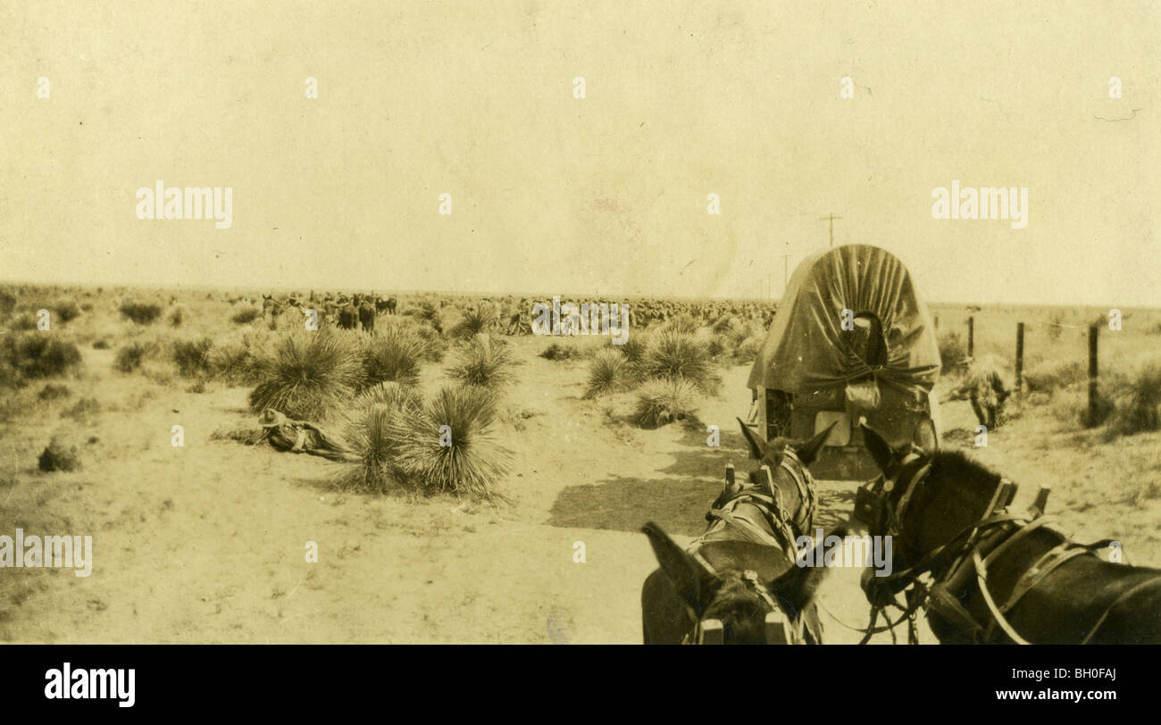 Vue depuis le siège de l'approvisionnement en wagons. Désert. United States cavaliers le long de la frontière mexicaine Banque D'Images