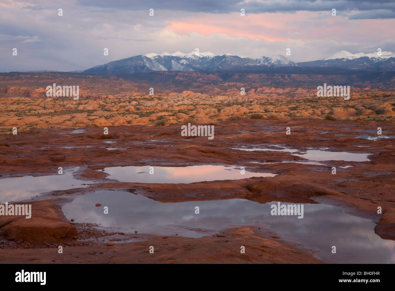 Poule plein d'eau de pluie, vue Montagnes La Sal, Arches National Park, près de Moab, Utah. Banque D'Images
