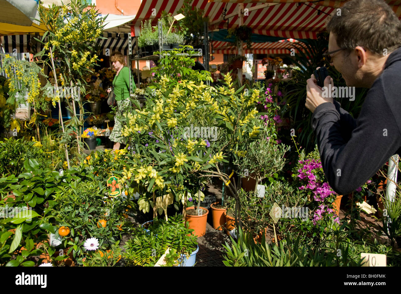 Nice, France, en français dans le marché de producteurs provinciaux sur trottoir, le Cours Saleya, photographe amateur de prendre des photos Banque D'Images