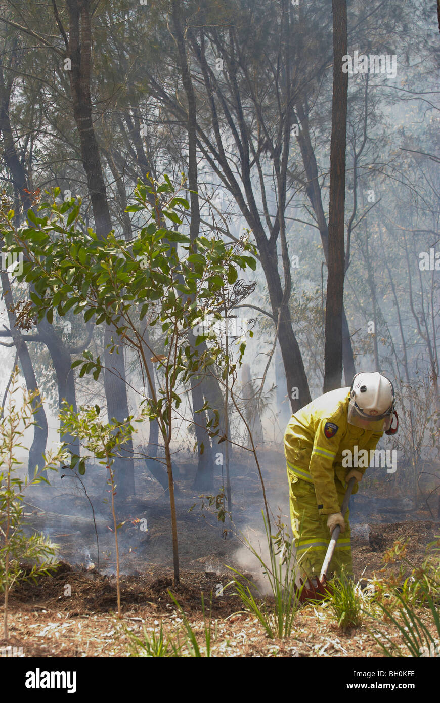 Feu arrière-control Banque D'Images