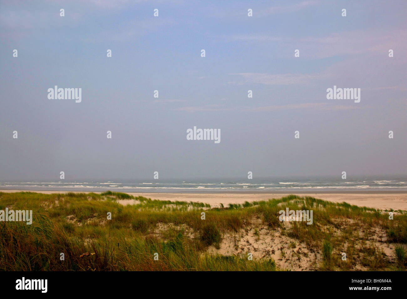 'Beach à Cape May dans le New Jersey Wildlife Refuge' Banque D'Images