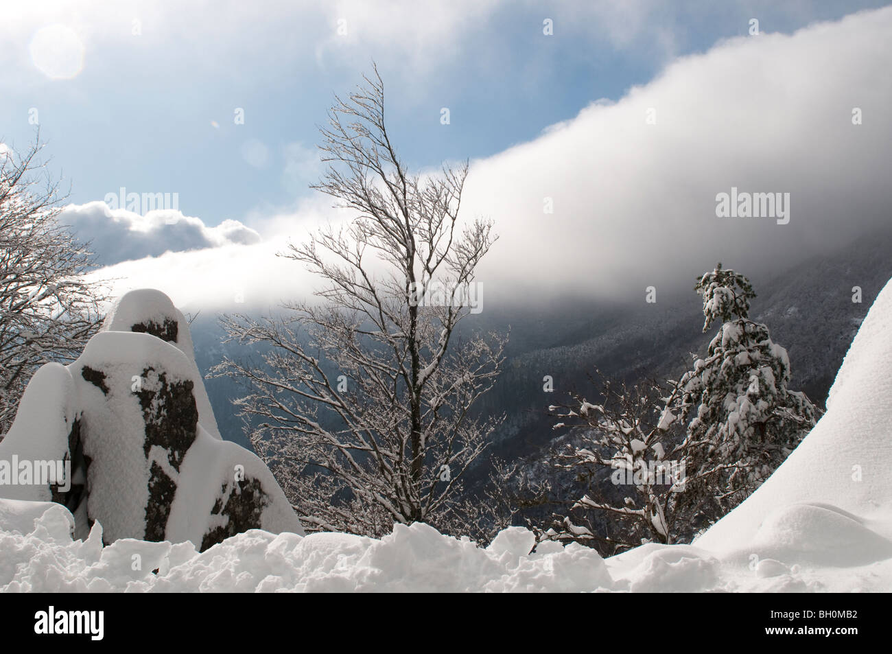 Parc National des Cévennes dans la neige, Gard, dans le sud de la France Banque D'Images