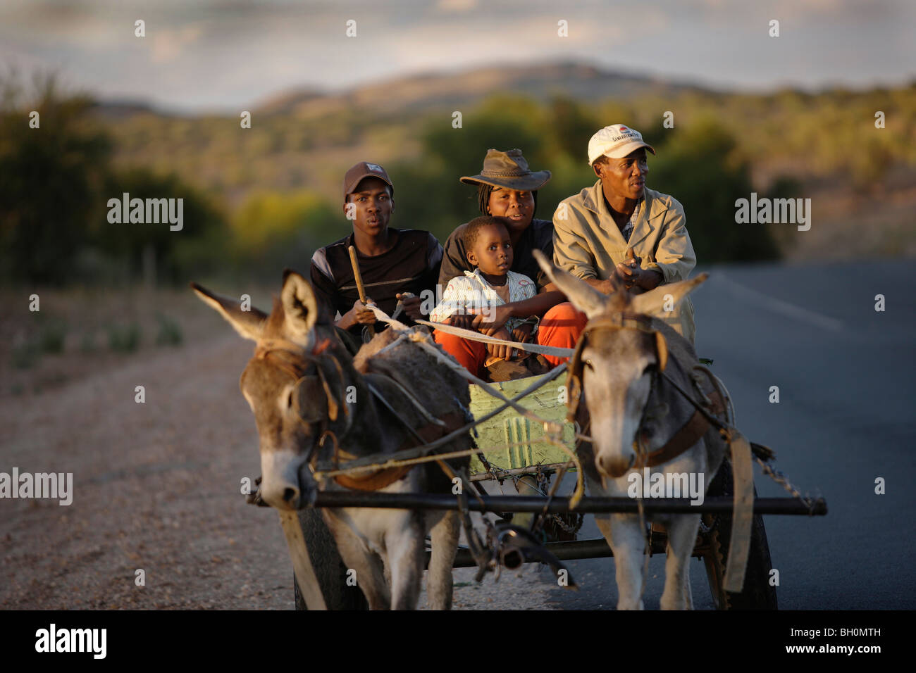 Famille sur un chariot tiré par un âne, Windhoek, Namibie, Afrique Banque D'Images