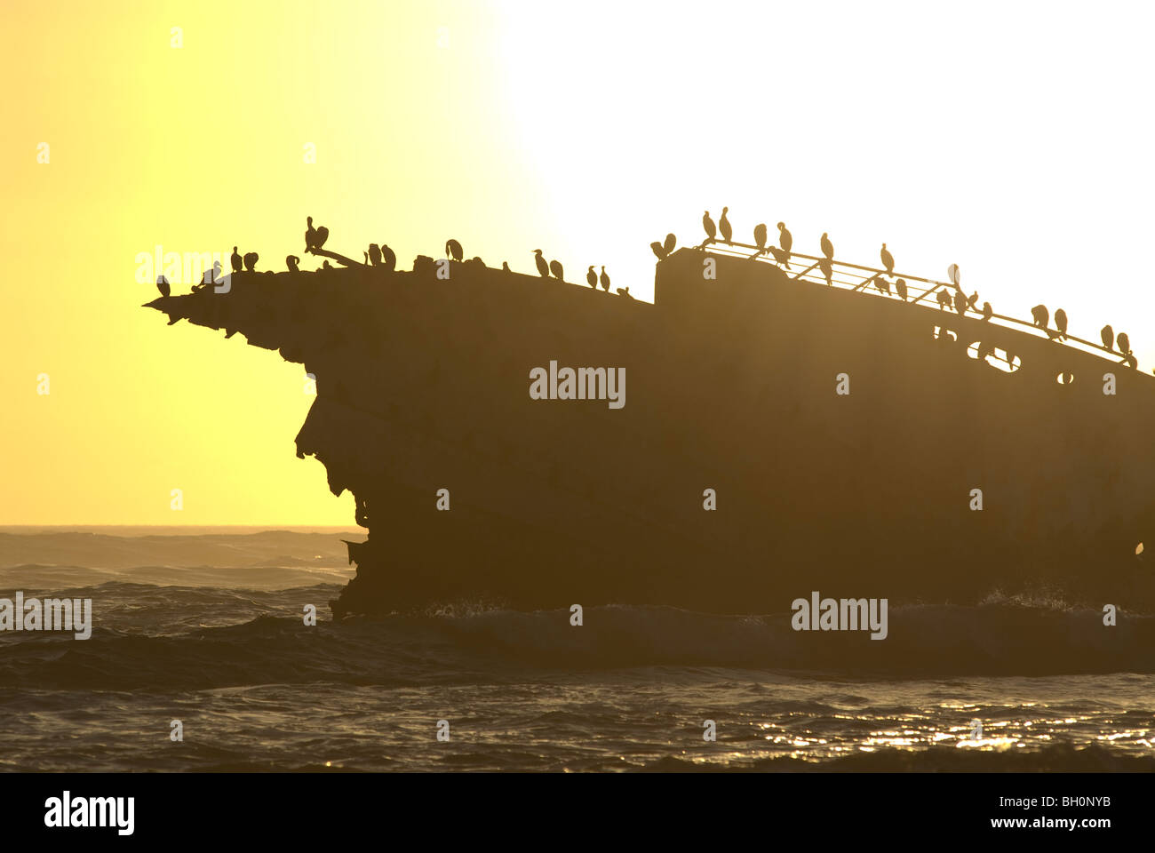 Épave au large des côtes d'Africas point le plus au sud, le cap Agulhas, Afrique du Sud. Banque D'Images