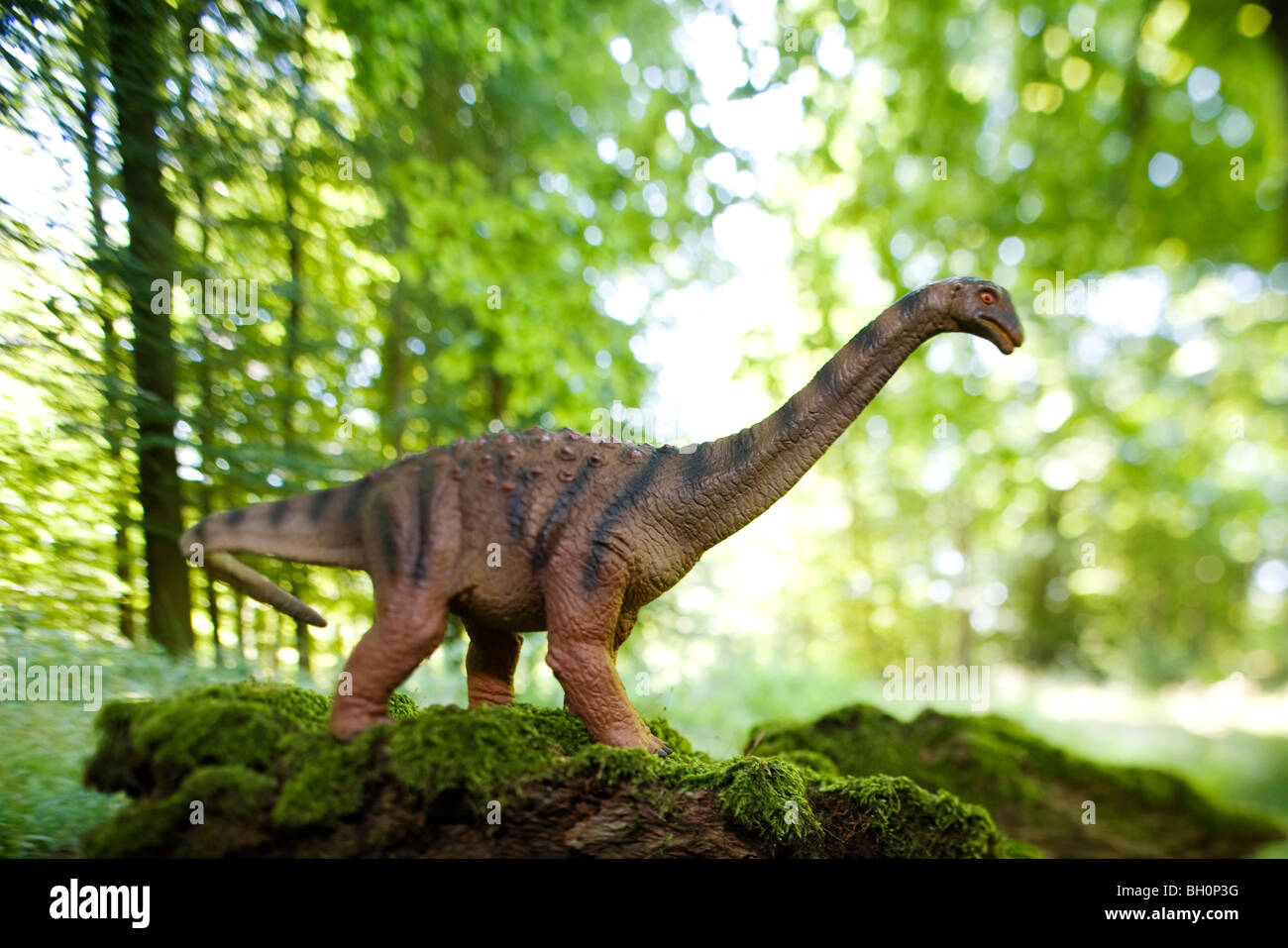 Saltasaurus jouet en face d'arbres feuillus Banque D'Images