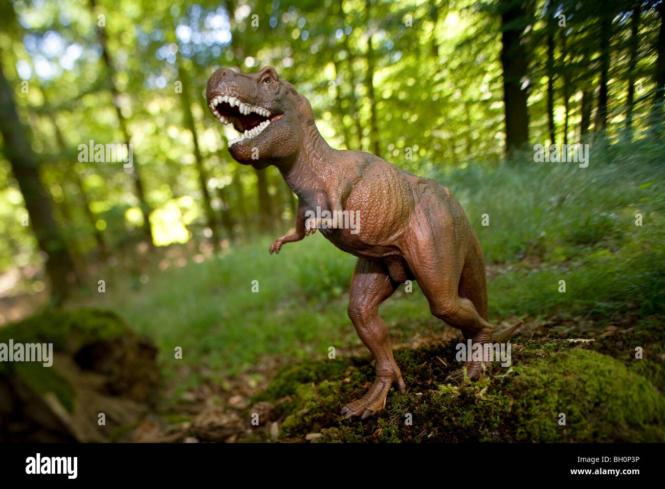 Toy tyrannosaurus rex dans la forêt Banque D'Images