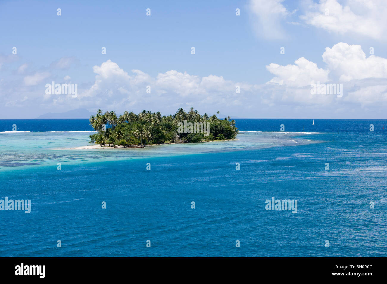 Petit Motu île avec palmiers à Raiatea Lagon, Raiatea, Iles de la société, Polynésie Française, Océanie, Pacifique Sud Banque D'Images