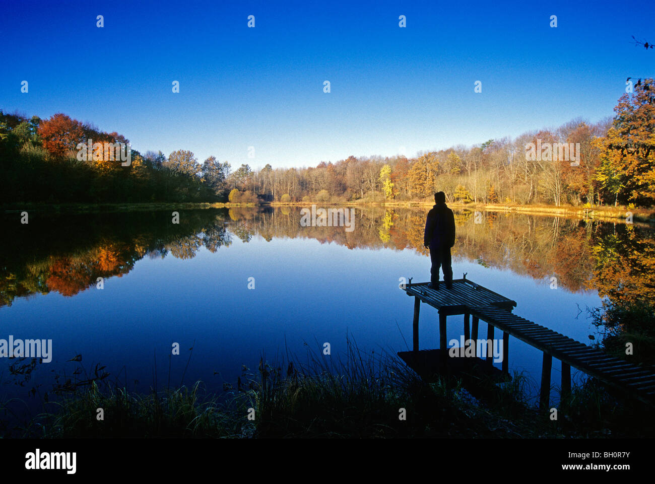 Pêcheur pour sol en bois jetée à Windsbornmaar, près de Speicher (de), Eifel, Rheinland-pfalz, Allemagne Banque D'Images