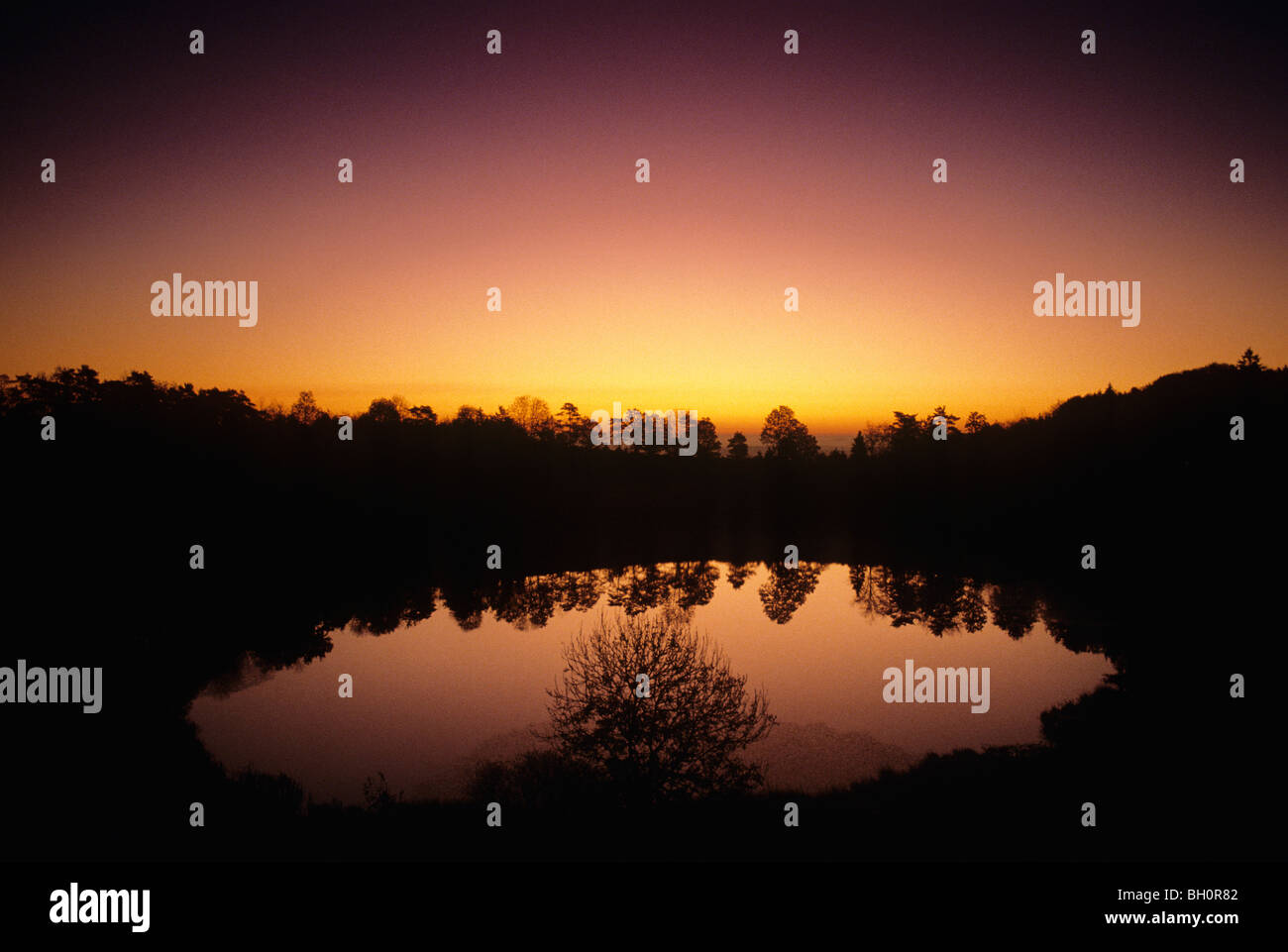 Windsbornmaar au coucher du soleil, le lac du cratère, près de Speicher (de), Eifel, Rheinland-pfalz, Allemagne Banque D'Images