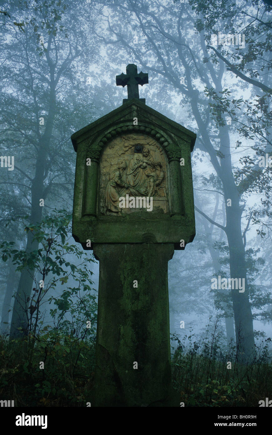 Cross dans les bois, Eifel, Rheinland-pfalz, Allemagne Banque D'Images