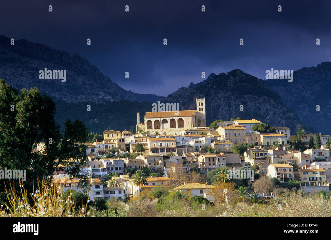 L'Europe, Espagne, Majorque, Selva Banque D'Images