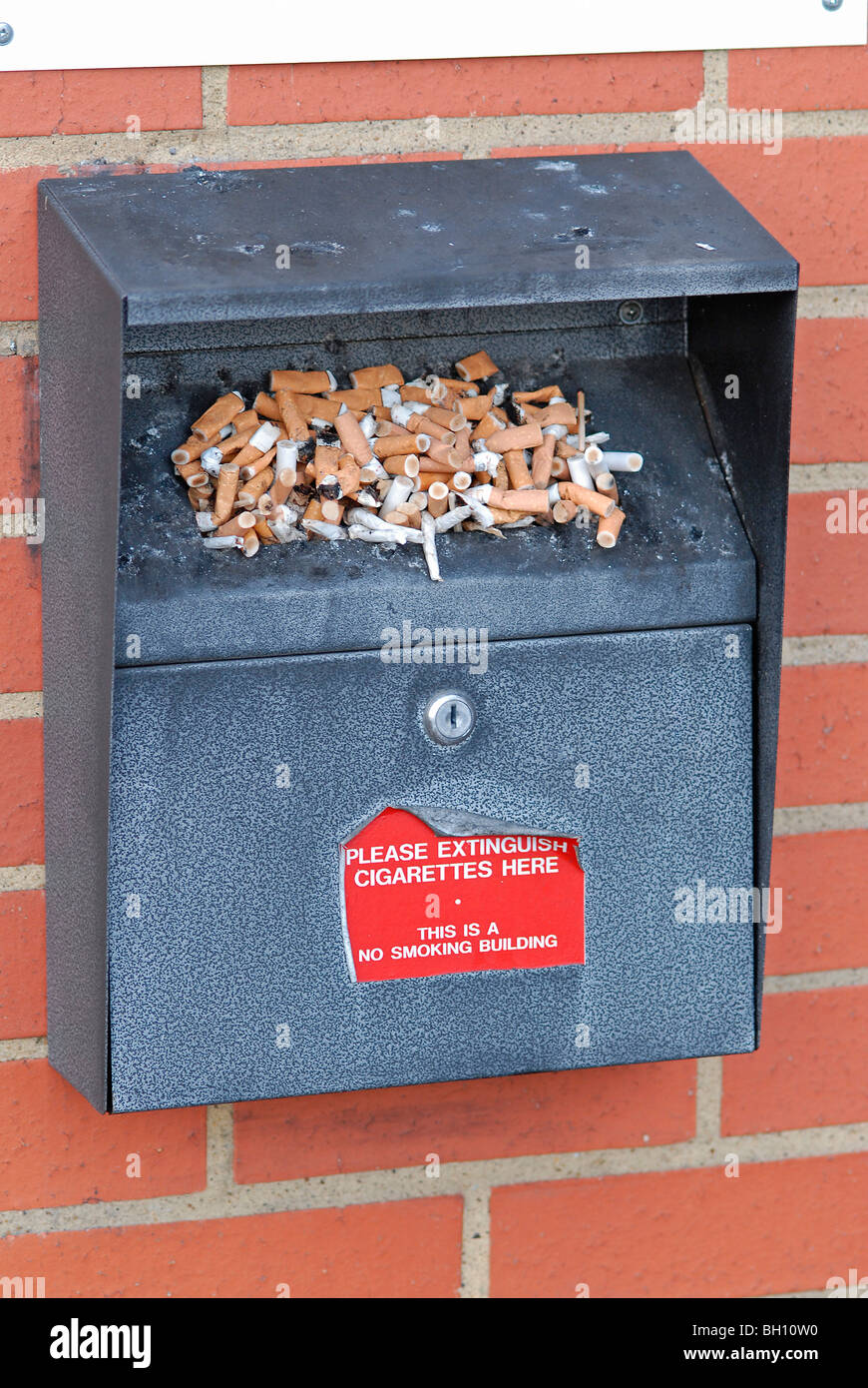 Les déchets de la cigarette à l'extérieur d'un bâtiment non fumeur Banque D'Images