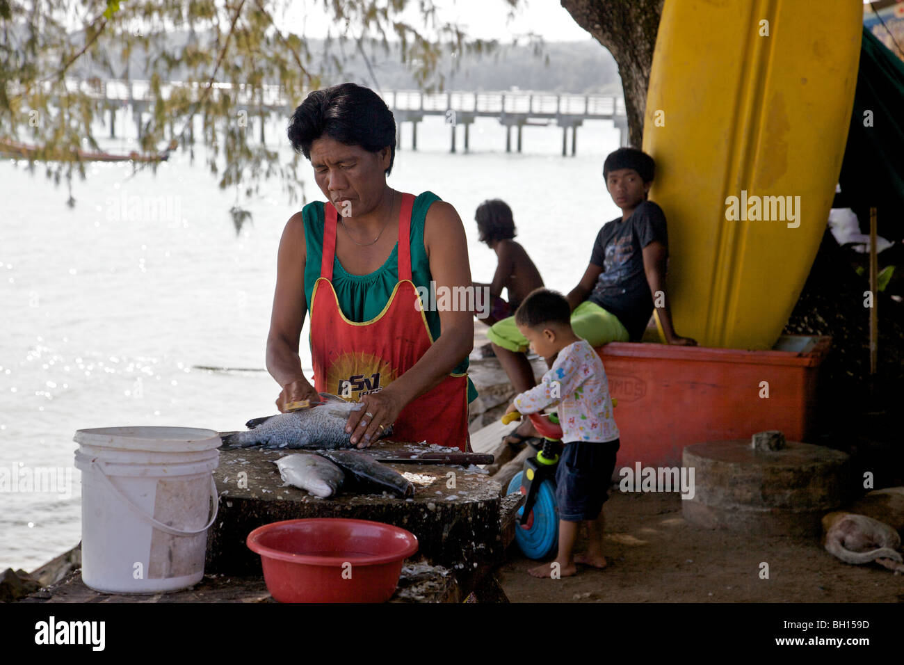 Une femme thaïlandaise nettoyer un poisson à Rawai Beach, Phuket Thaïlande Banque D'Images