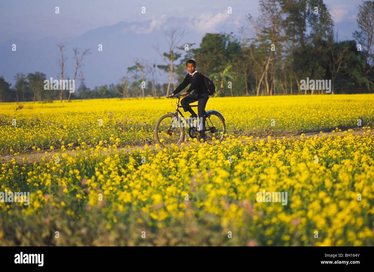 Garçon en uniforme d'équitation un vélo, Sauhara, Chitwan, Népal Banque D'Images