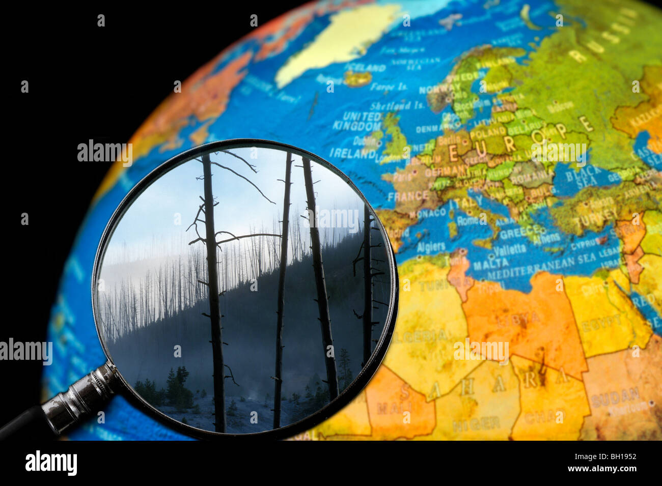 Arbres brûlés après feu de forêt vu à travers une loupe tenu contre allumé globe terrestre Banque D'Images