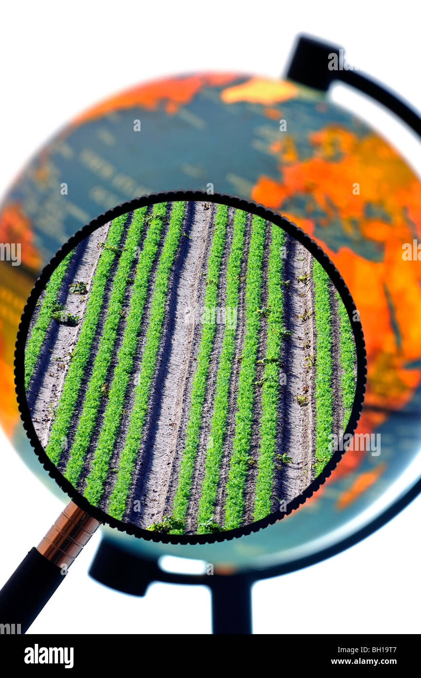 Lignes de cultures dans le domaine vu à travers une loupe tenu contre allumé globe terrestre Banque D'Images
