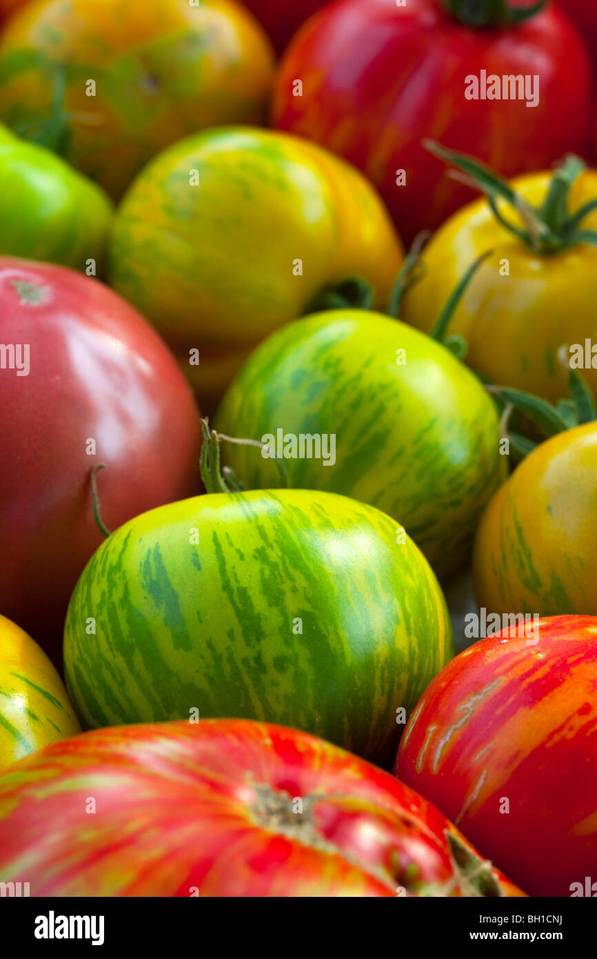 Heirloom tomatoes frais du marché agricole Banque D'Images
