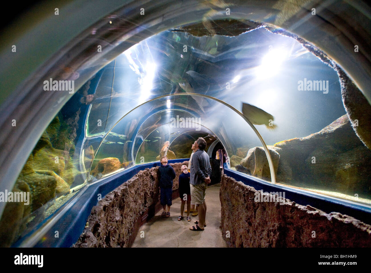 Les personnes qui visitent l'Aquarium, Westerland, l'île de Sylt, Schleswig-Holstein, Allemagne Banque D'Images