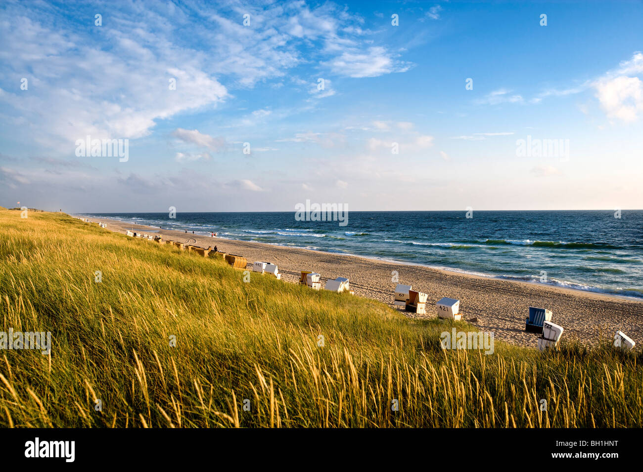 Vue sur plage près de Rantum, l'île de Sylt, Schleswig-Holstein, Allemagne Banque D'Images