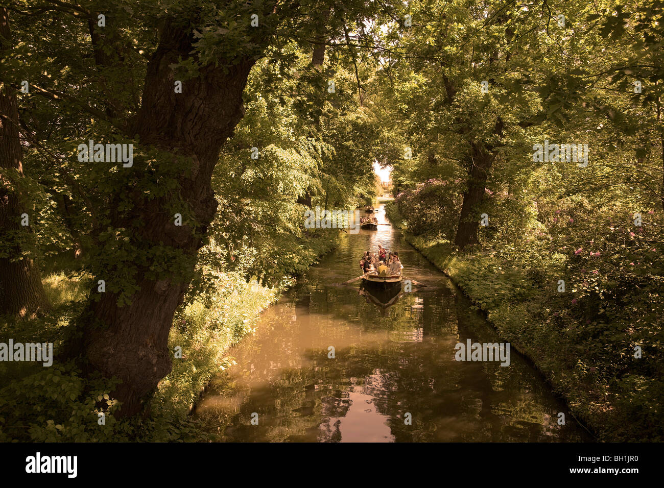 Barques sur un canal dans la forêt, Parc, Woerlitz Woerlitz, Saxe-Anhalt, Allemagne, Europe Banque D'Images