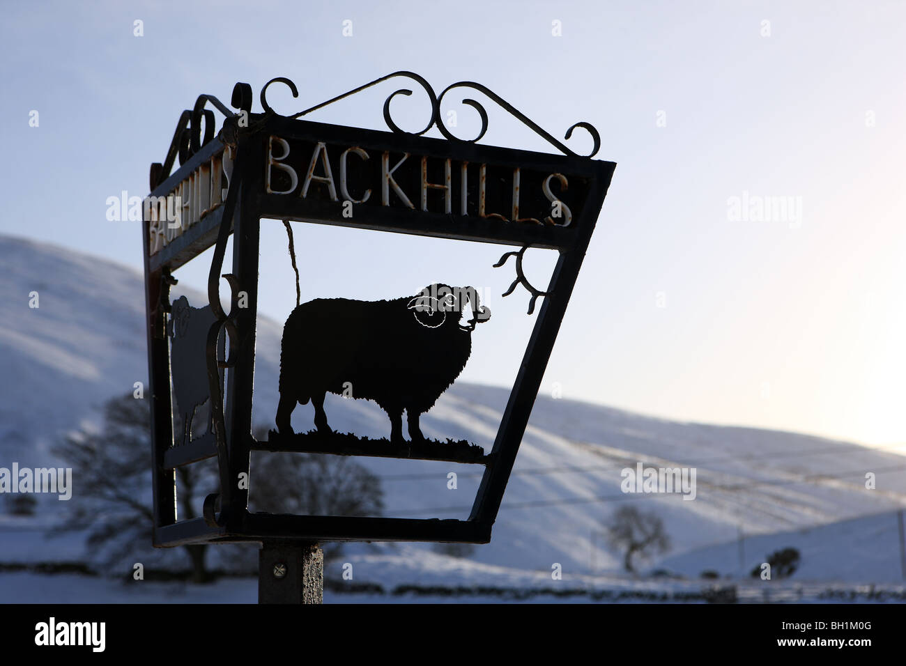 Ferme à l'égard des collines enneigées et ciel pâle Banque D'Images