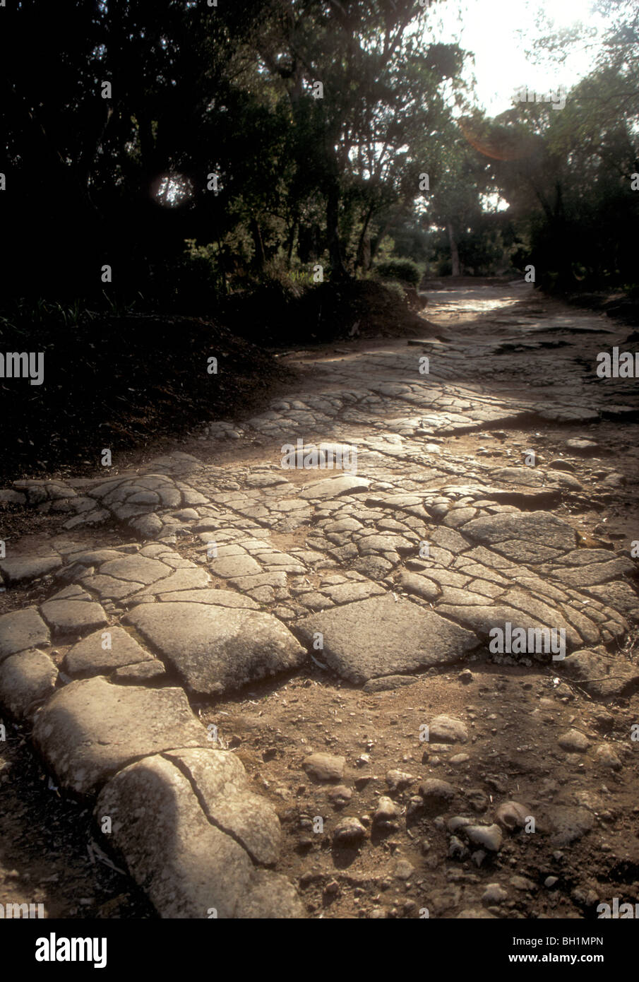 Une voie romaine dans la région de Tipasa, Algérie Banque D'Images