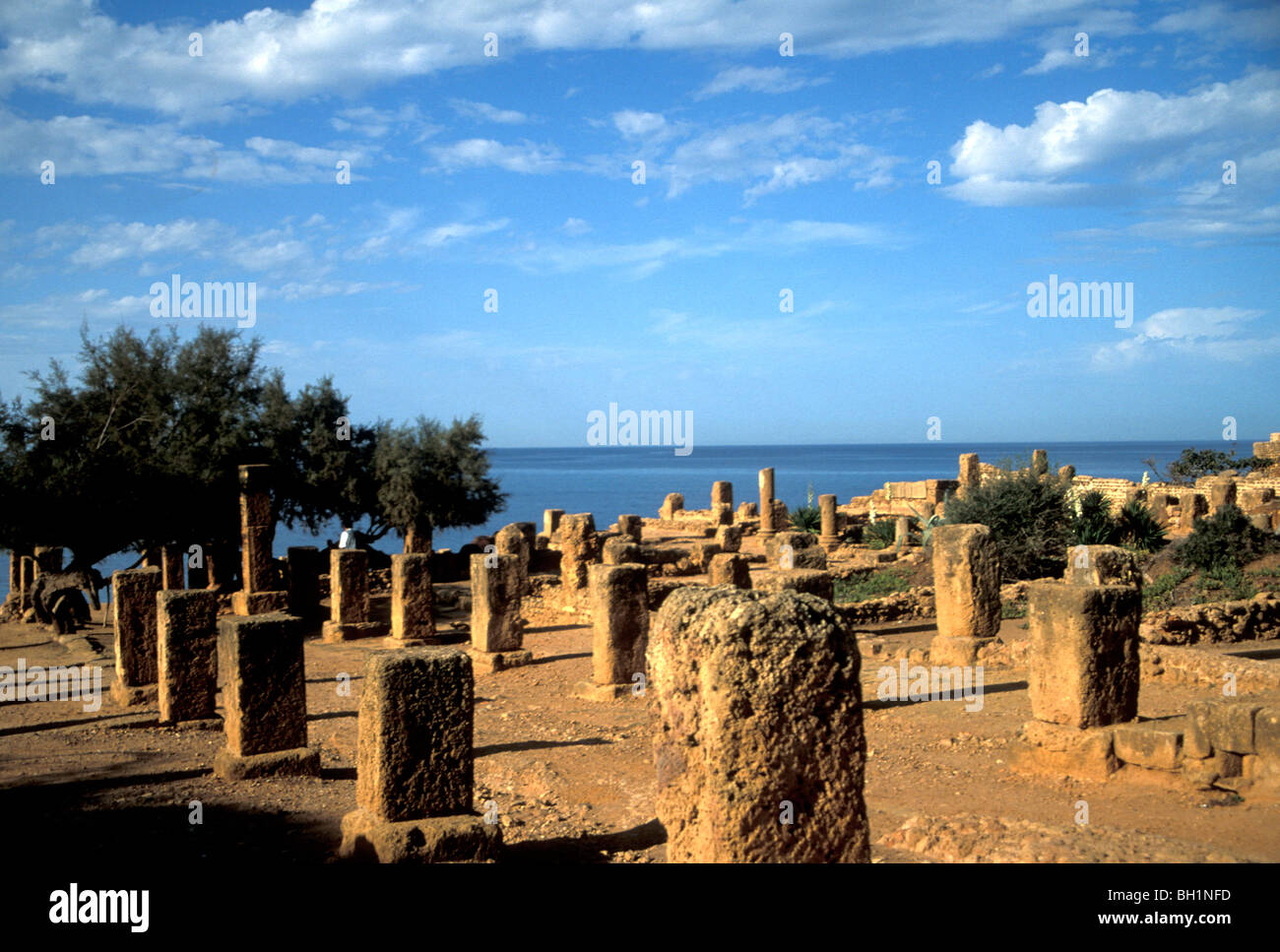 L'ancien site de Tipasa punique sur la côte méditerranéenne de l'Algérie Banque D'Images