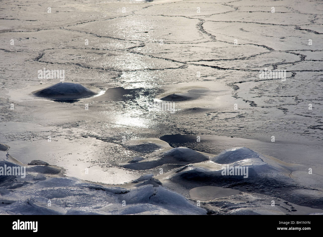 Formation de glace dans l'eau de mer Banque D'Images