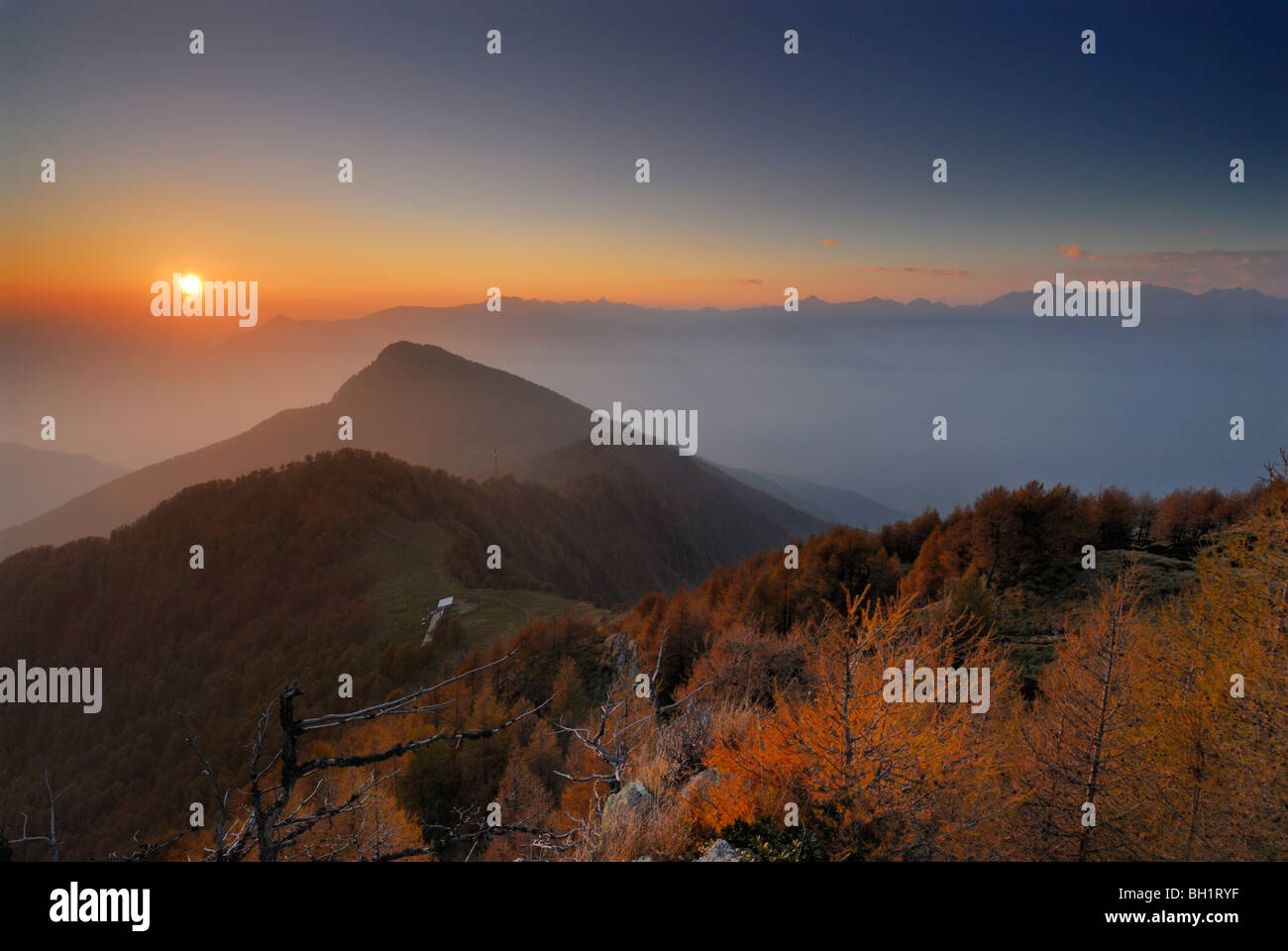 Le mélèze en automne des couleurs dans la lumière du soir, le Monte Legnone, Bergame, Côme, Alpes de Lombardie, Italie Banque D'Images