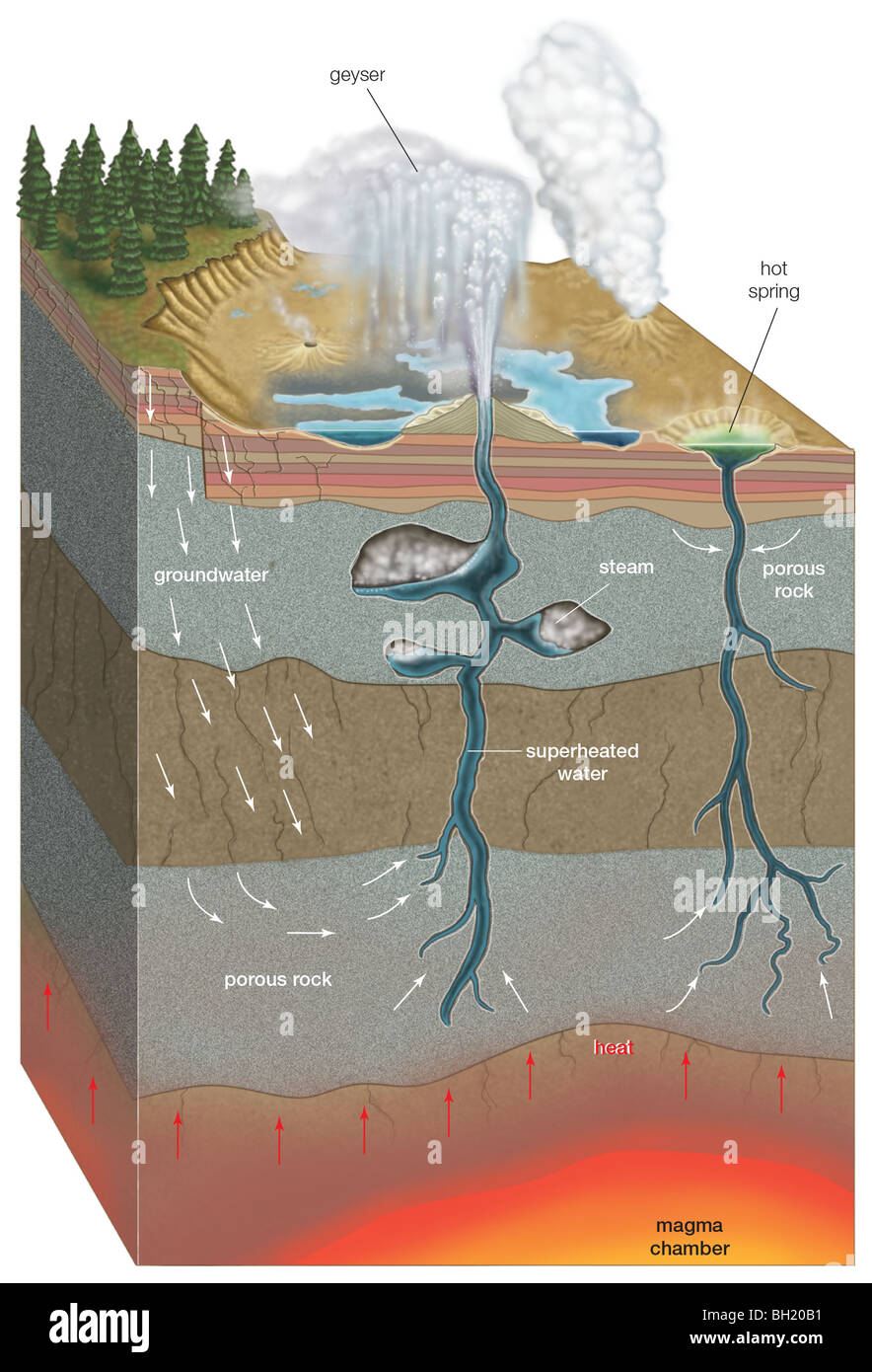 Geyser et Hot spring Banque D'Images