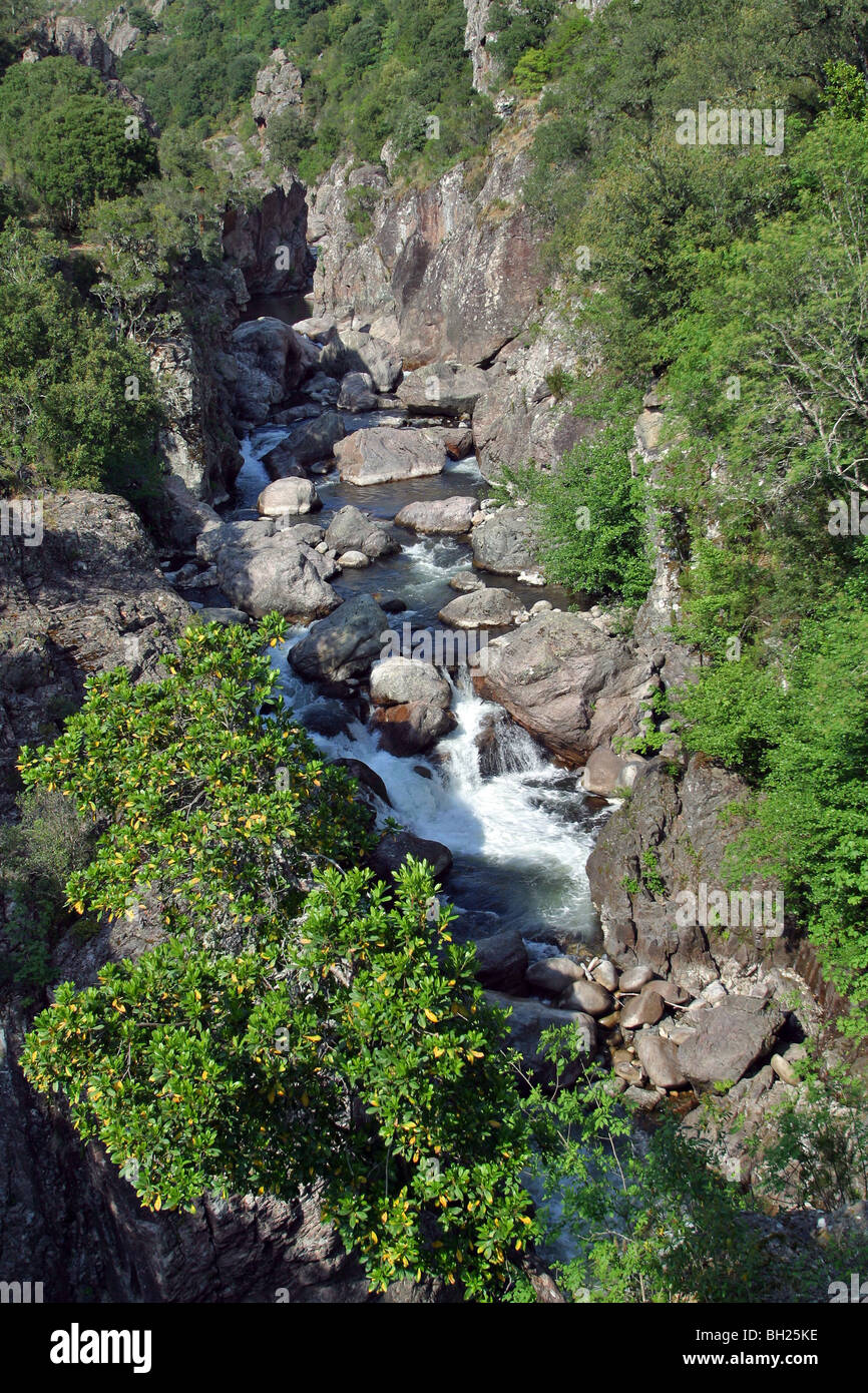 Petite CASCADE DANS LA RÉGION DE PETRETO-BICCHISANO, CORSE DU SUD (2A), FRANCE Banque D'Images